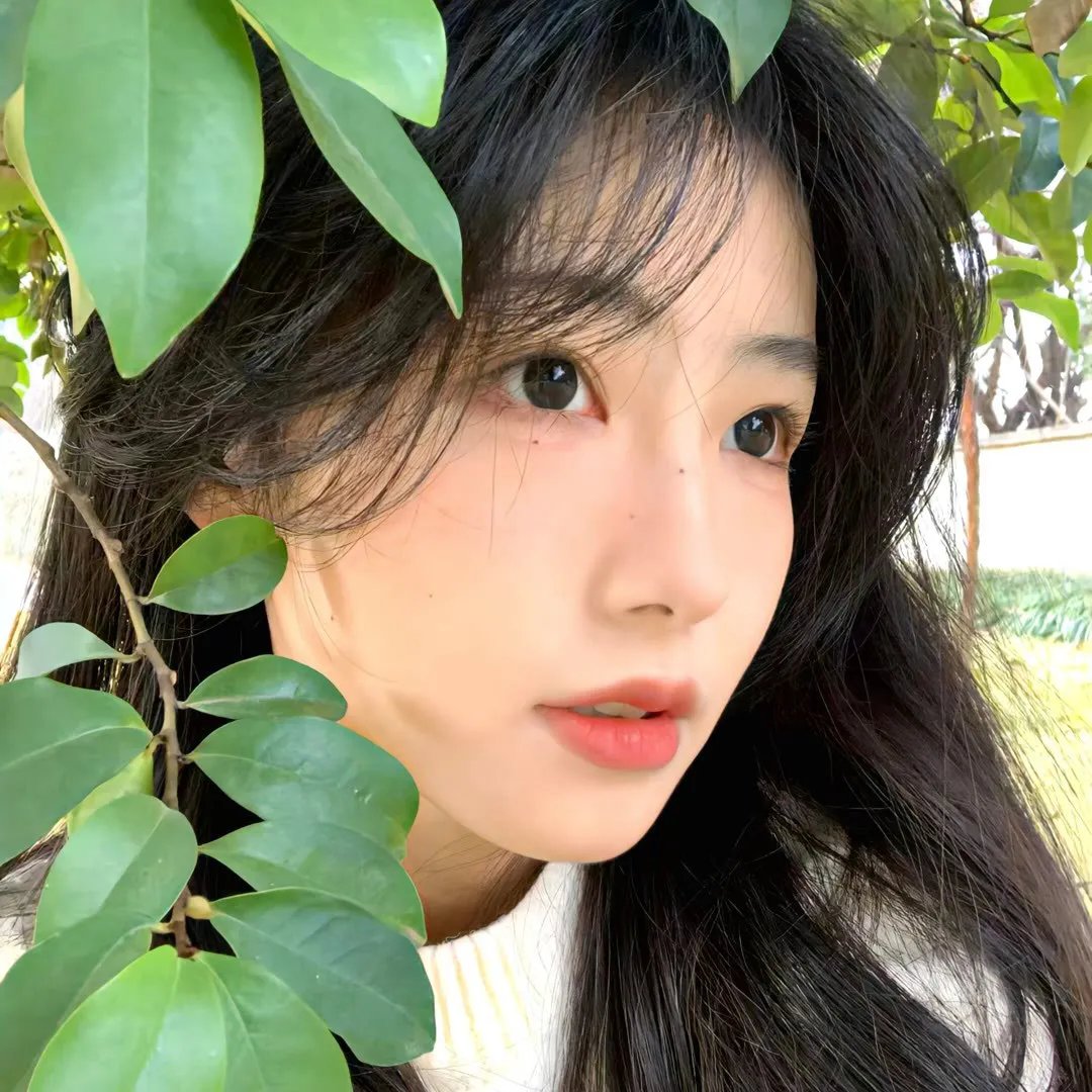 她与她的猫